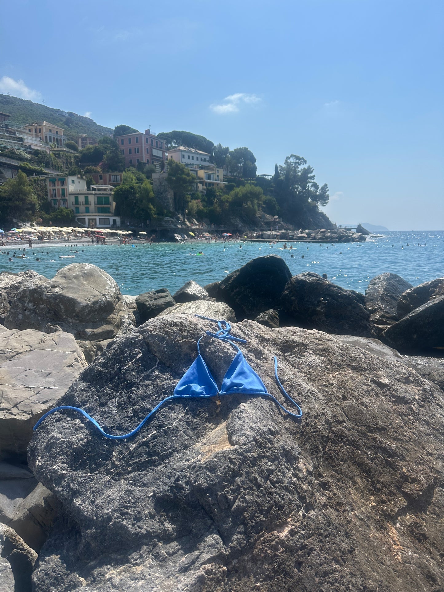 The Triangle Bikini Top